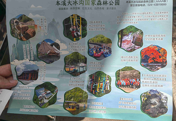 大冰沟国家地质森林公园第 33 张图片