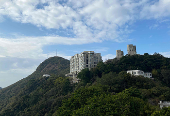 太平山顶第 138 张图片