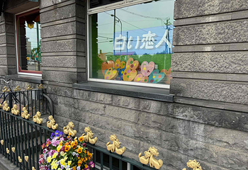 白色恋人公园第 44 张图片