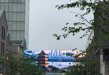 西湖观光游览车第 12 张图片