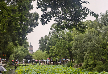 拙政园第 413 张图片