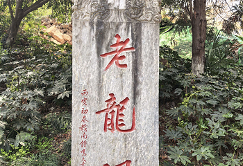 古隆中第 164 张图片
