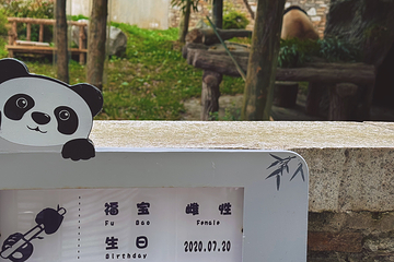 卧龙中华大熊猫苑神树坪基地第 84 张图片