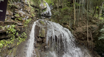 藏龙百瀑第 18 张图片