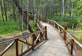 敖鲁古雅使鹿部落景区第 50 张图片