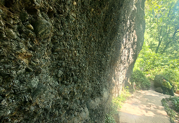 青城山第 330 张图片
