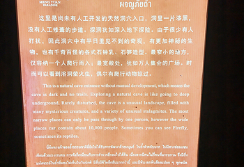 勐远仙境第 144 张图片