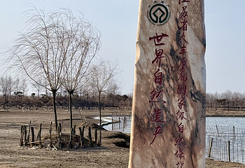 中华麋鹿园第 89 张图片