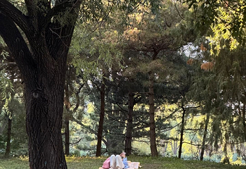 朝阳公园第 194 张图片