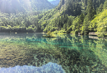 九寨沟风景区第 440 张图片
