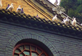 白马寺第 58 张图片