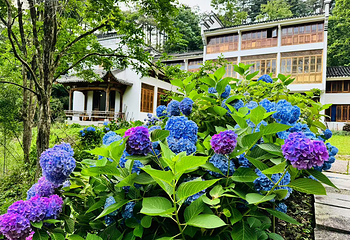 九华山风景区第 34 张图片