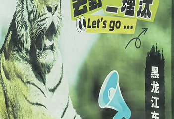 东北虎林园第 332 张图片