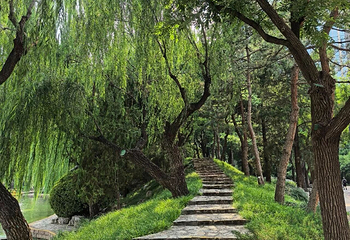 团结湖公园第 61 张图片