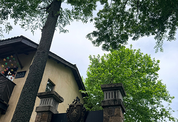 莫干山风景名胜区第 153 张图片