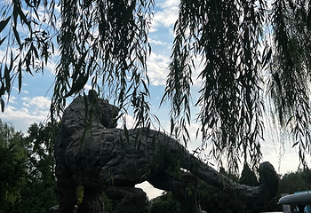 北京动物园第 148 张图片