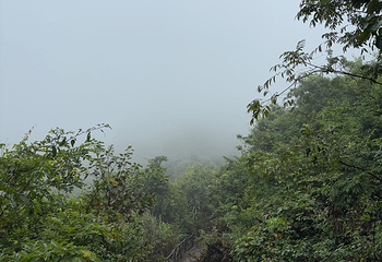 玉石林风景区第 44 张图片