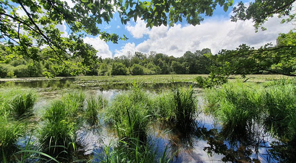 Montagne de Reims Natural Regional Park