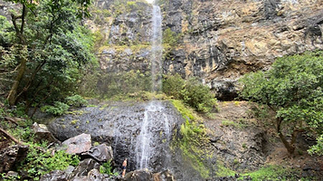Black River Gorges Nature Park