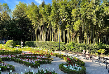 The Angiolina Park - Villa Angiolina第 7 张图片