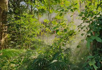 厦门园林植物园第 125 张图片