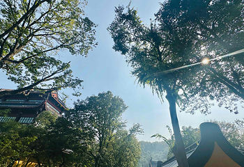 灵隐寺第 173 张图片