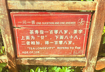 三亚南山文化旅游区第 199 张图片