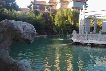 龙脉温泉第 77 张图片