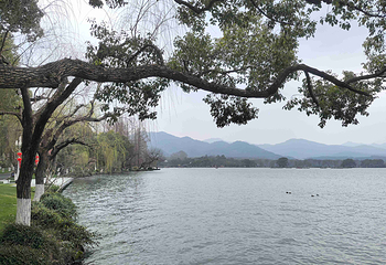 西湖风景名胜区第 223 张图片