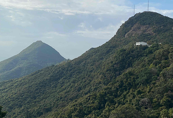 太平山顶第 213 张图片