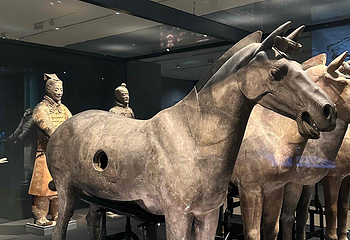 秦始皇帝陵博物院(兵马俑)第 334 张图片