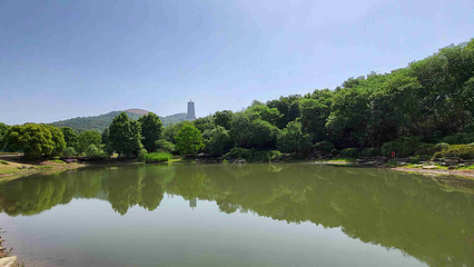 牛首山文化旅游区第 392 张图片
