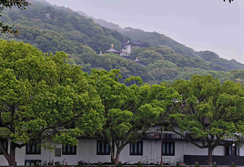 普陀山风景区第 261 张图片