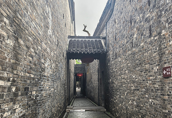 个园第 203 张图片
