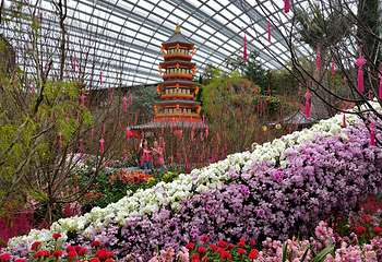 新加坡滨海湾花园第 266 张图片