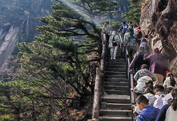 黄山风景区第 255 张图片
