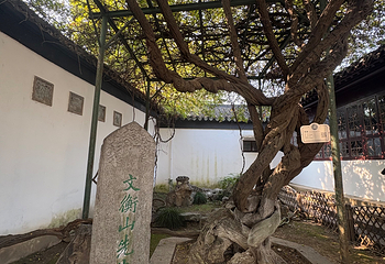 苏州博物馆第 298 张图片