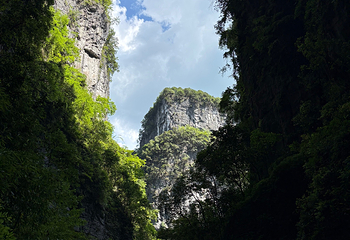 武隆天生三桥第 145 张图片