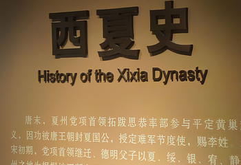 西夏陵第 230 张图片