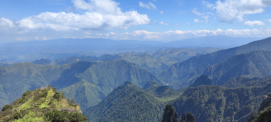 莽山旅游区国家森林公园第 28 张图片