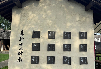 乌村第 79 张图片