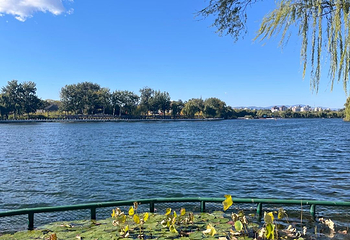 什刹海风景区第 158 张图片