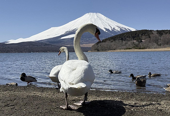 富士山第 65 张图片
