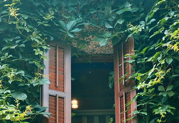 思南公馆第 73 张图片