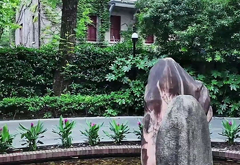 思南公馆第 84 张图片