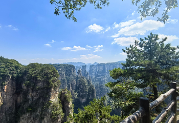天门山国家森林公园第 150 张图片