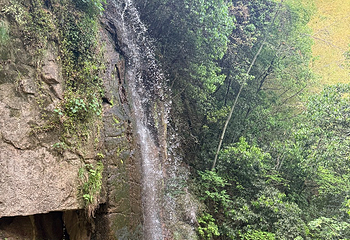 莫干山风景名胜区第 150 张图片