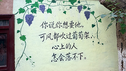 葡萄沟第 81 张图片
