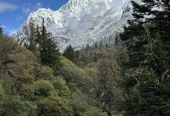 四姑娘山景区第 191 张图片
