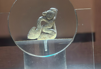 南越王博物院(王墓展区)第 263 张图片